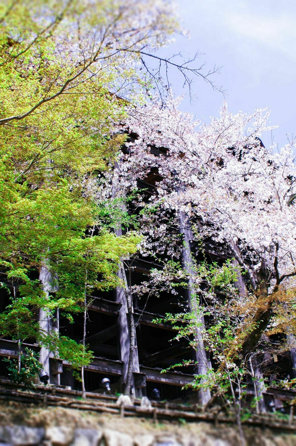 Stay Sakura Kyoto Machiya Akari Εξωτερικό φωτογραφία